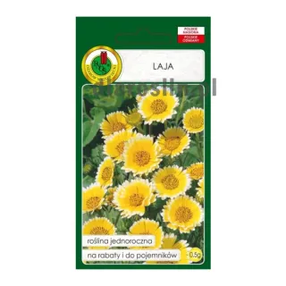 laja-zolto-biala-kwiaty-0,5g-ozarow-mazowiecki-nasiona.jpg