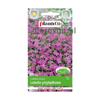 nasiona-lobelia-przylądkowa-rozowa-plantico.jpg