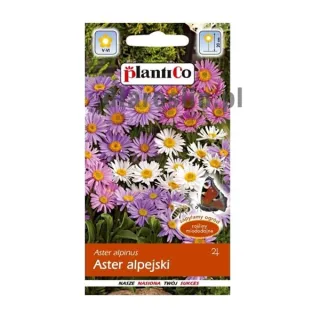 aster-alpejski-mix-plantico-nasiona.jpg