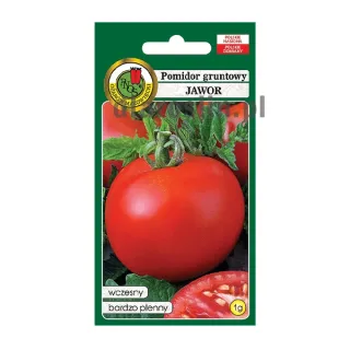 pomidor-gruntowy-jawor-nasiona-ozarow.jpg