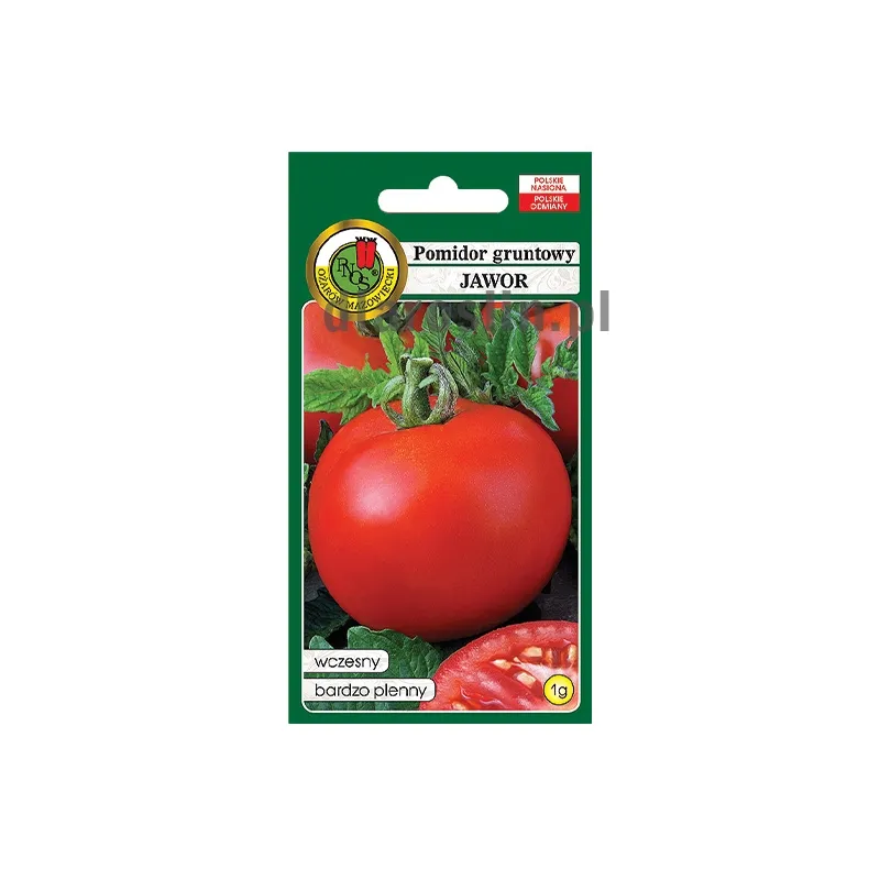 pomidor-gruntowy-jawor-nasiona-ozarow.jpg