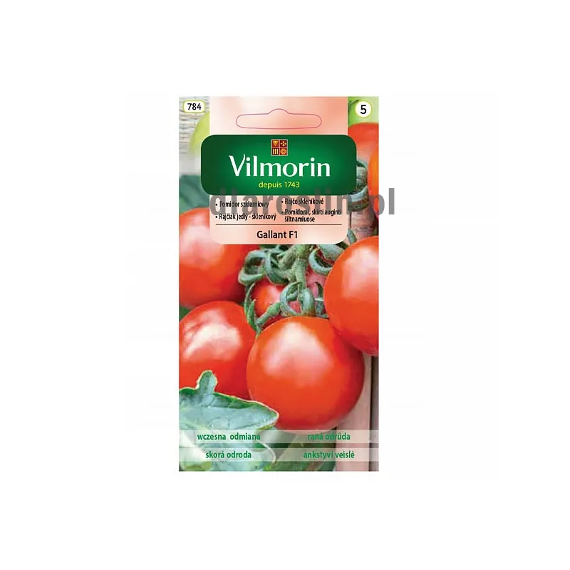 pomidor-szklarniowy-gallant-f1-vilmorin-nasiona.jpg
