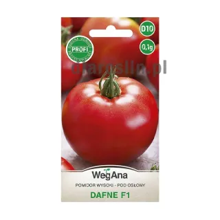 pomidor_dafne_0,1g_nasiona_wegana.jpg