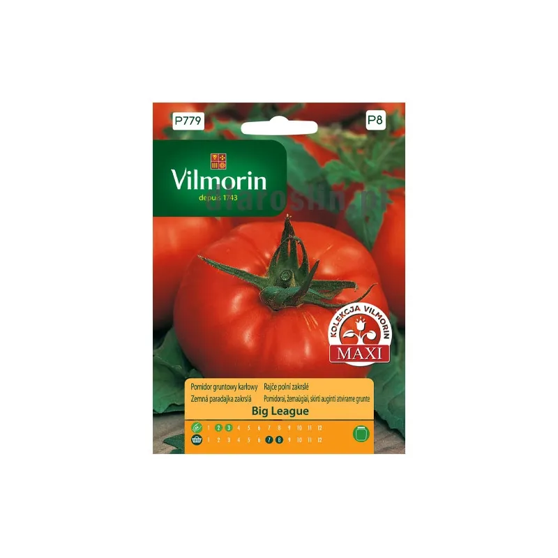 pomidor_big_league_15n_st_nasiona_vilmorin.jpg