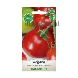 pomidor_galant_0,1g_wegana.jpg