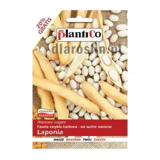 fasola-laponia-nasiona-plantico.jpg