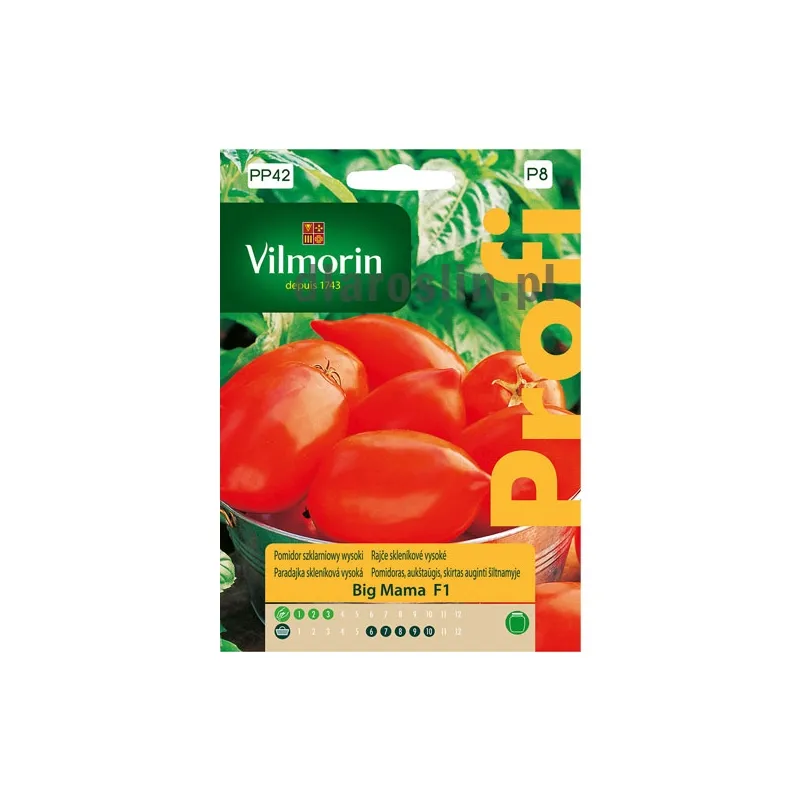 pomidor_big_mama_0,1g_30n_nasiona_vilmorin.jpg