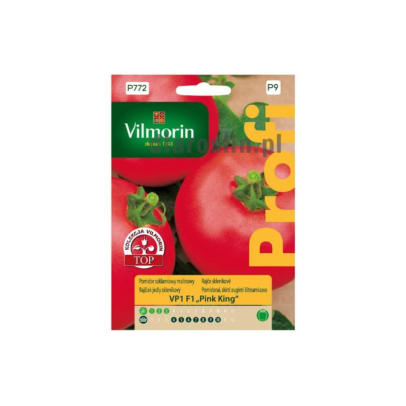 pomidor_vp1_pink_king_15n_st_nasiona_vilmorin.jpg