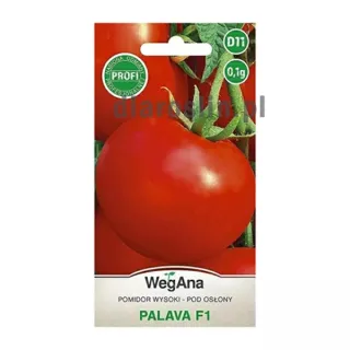 pomidor-wysoki-pod-oslony-palava-0,1g-nasiona-wegana.jpg