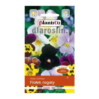 fiolek-rogaty-plantico-nasiona.jpg