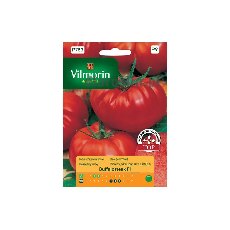 pomidor_buffalosteak_f1_10n_st_nasiona_vilmorin.jpg