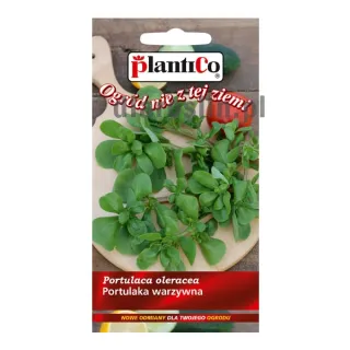portulaka-warzywna-0,5g-nasiona-plantico.jpg