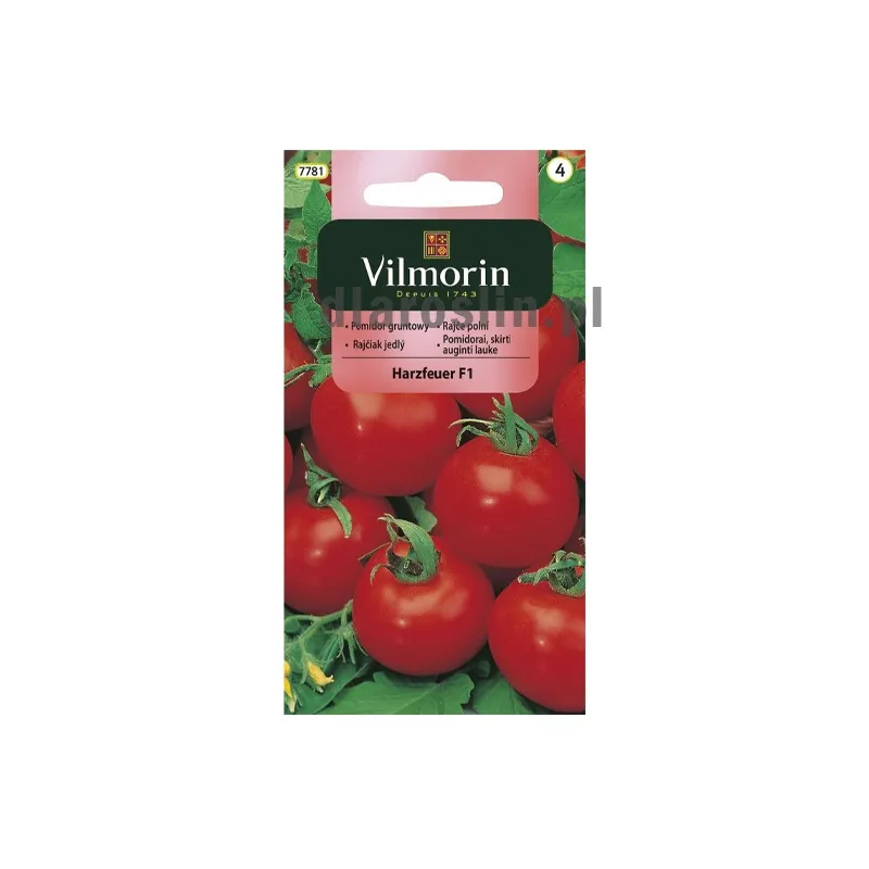 pomidor-harzfeuer-nasiona-vilmorin.jpg