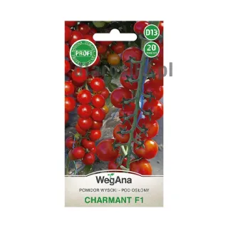 Pomidor-wysoki-pod-oslony-Charmant-F1-20-nasion-wegana.jpg