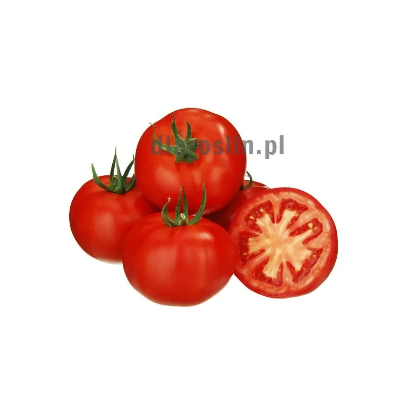 pomidor-klymon-sakata.jpg