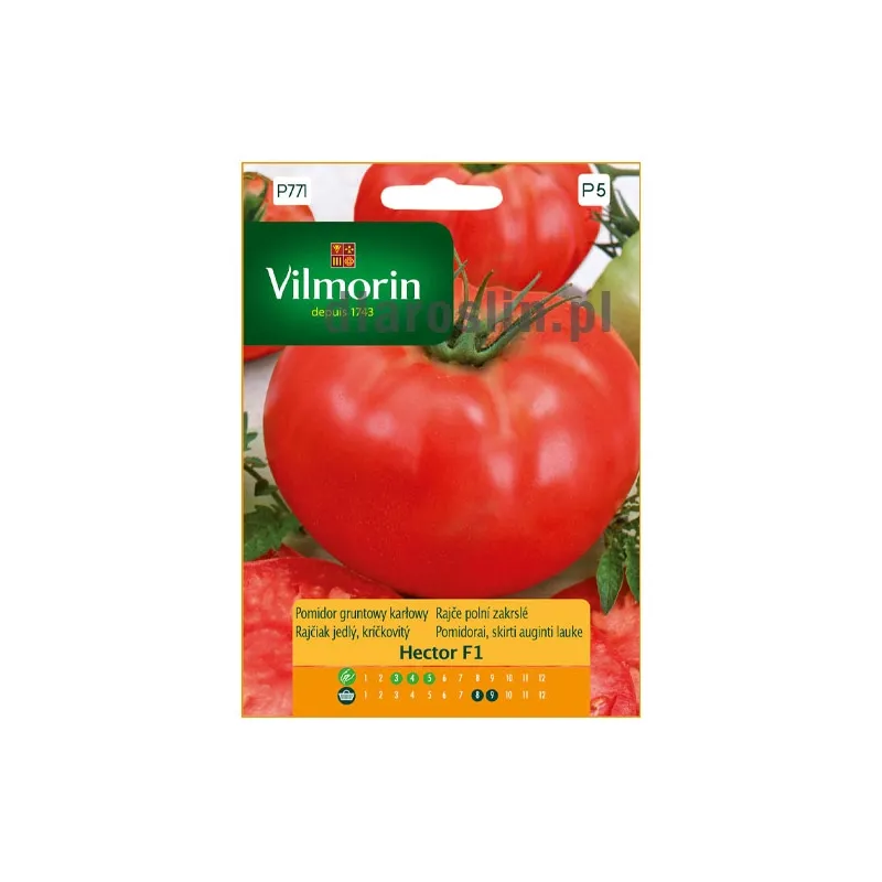 pomidor_hector_f1_0,1g_st_nasiona_vilmorin.jpg