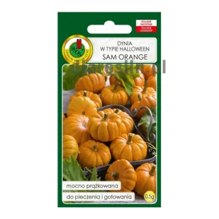 dynia-sam-orange-typ-halloween-0,5g-ozarow-mazowiecki-nasiona.jpg
