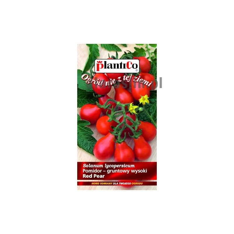 nasiona-pomidor-red-pear-plantico.jpg