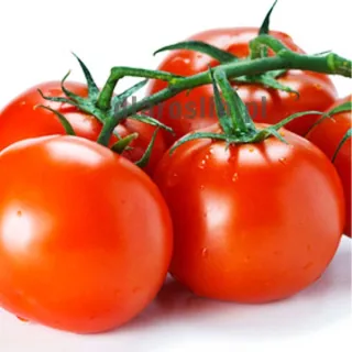 nasiona-pomidor-brilliante-hazera.jpg