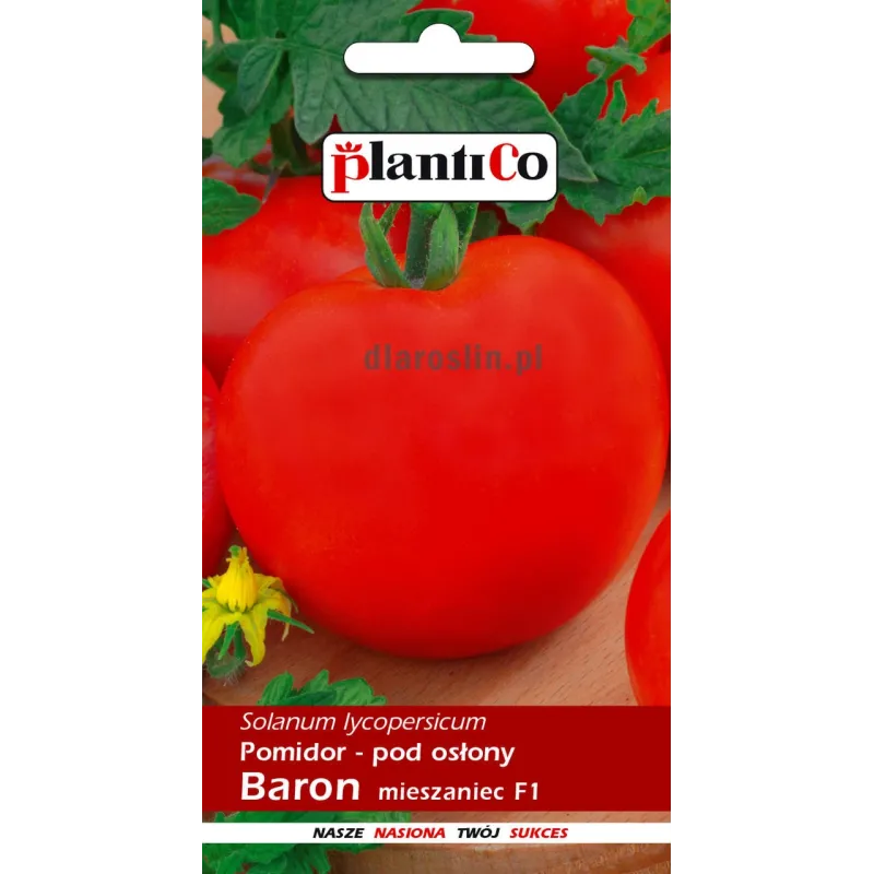 pomidor baron.jpg