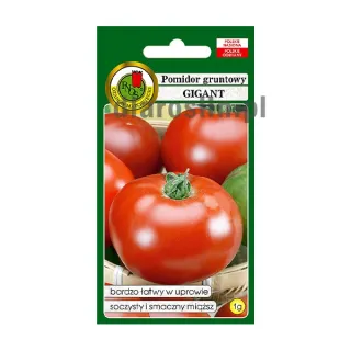 pomidor-gigant-nasiona.jpg