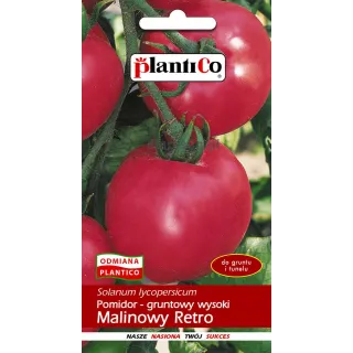 pomidor malinowy retro.jpg