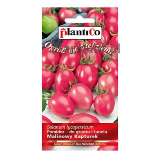pomidor-malinowy-kapturek-0,2g-plantico-nasiona.jpg