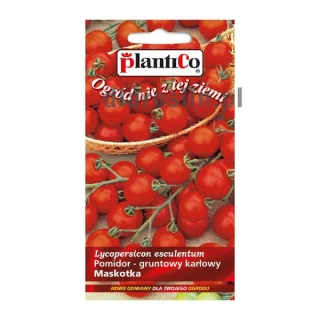 pomidor-gruntowy-karlowy-maskotka-nasiona-plantico.jpg
