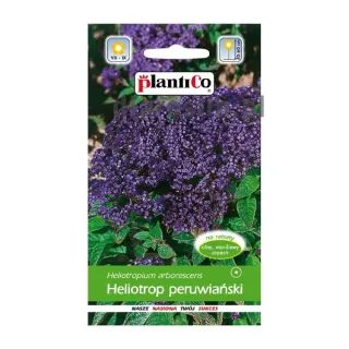 heliotrop-peruwianski-plantico-nasiona.jpg