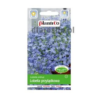 nasiona-lobelia-przylądkowa-niebieska-plantico.jpg