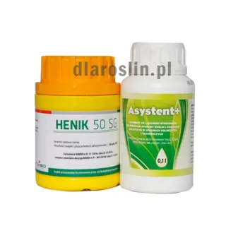 henik-50-sg-maly-i-asystent.jpg
