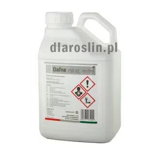dafne-250-ec-innvigo-grzybobojczy-difenokonazol-5l.jpg