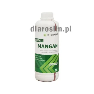 mangan-1-l.jpg