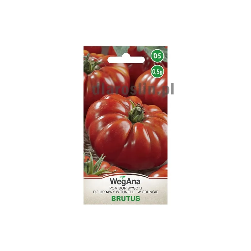 pomidor_brutus_0,5G_st_nasiona_wegana.jpg