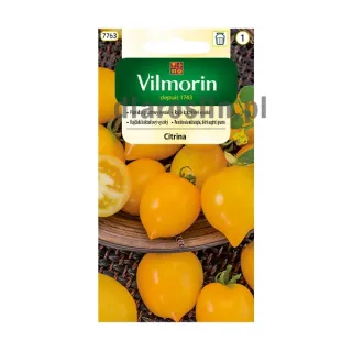 pomidor_gruntowy_wysoki_citrina_0,3g_st_nasiona_vilmorin.jpg