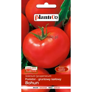 pomidor bohun-.jpg