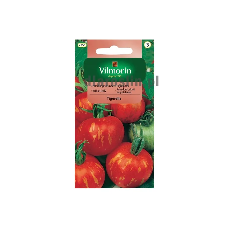 pomidor-tigerella-nasiona-vilmorin.jpg