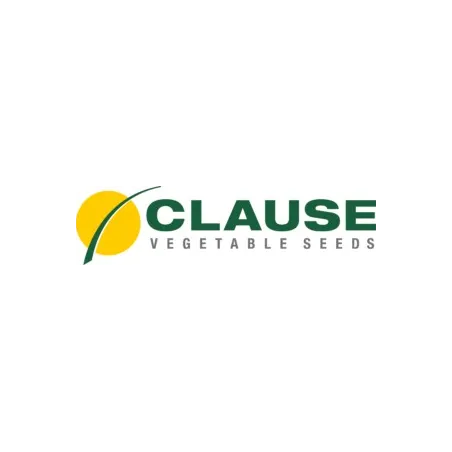 CLAUSE