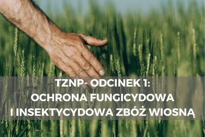 TZNP- odcinek 1: Ochrona fungicydowa i insektycydowa zbóż wiosną