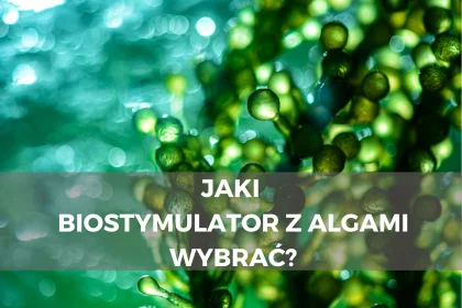 Jaki biostymulator z algami wybrać?