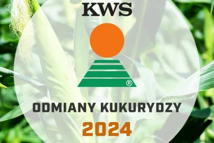 Odmiany kukurydzy KWS - katalog 2024