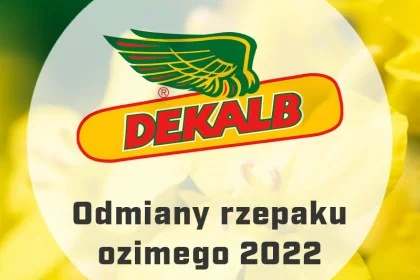 Nasiona rzepaku ozimego Dekalb - Katalog odmian 2022