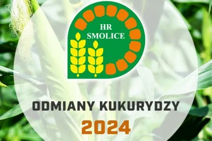 Odmiany kukurudzy HR Smolice - katalog 2024