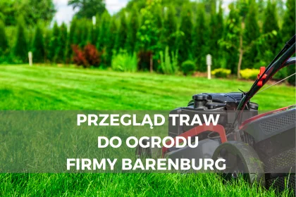 Przegląd traw do ogrodu firmy Barenburg 