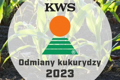 Nasiona kukurydzy KWS - Katalog odmian 2023
