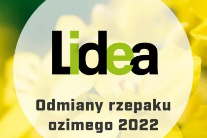 Nasiona rzepaku ozimego Lidea - Katalog odmian 2022