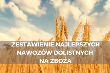 Zestawienie najlepszych nawozów dolistnych na zboża według dlaroslin.pl