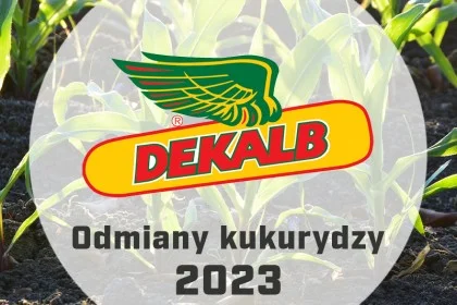 Nasiona kukurydzy DEKALB - Katalog odmian 2023