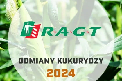 Odmiany kukurydzy RAGT - katalog 2024