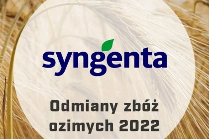 Nasiona zbóż ozimych Syngenta - Katalog odmian 2022
